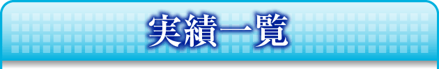 実績一覧